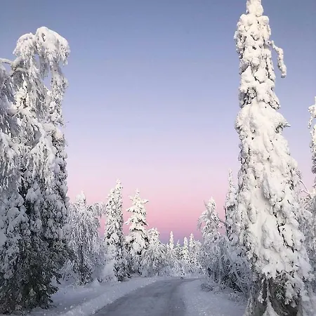 Levinutsu *